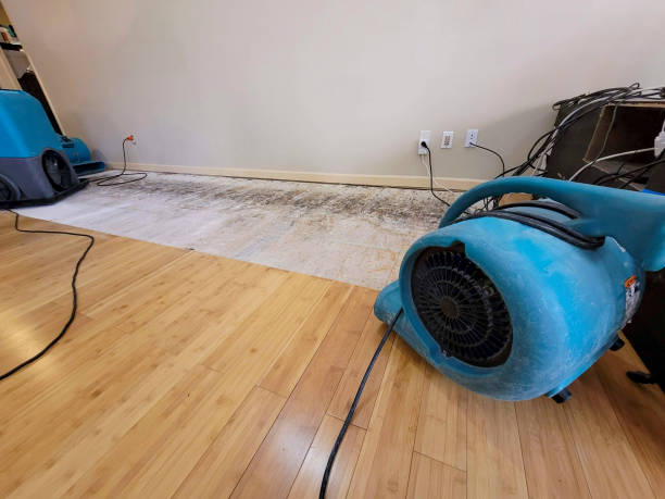 Professional Water Damage Repair technician working in Buford, GA
